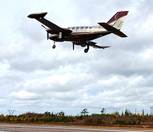 Catered To Your Need