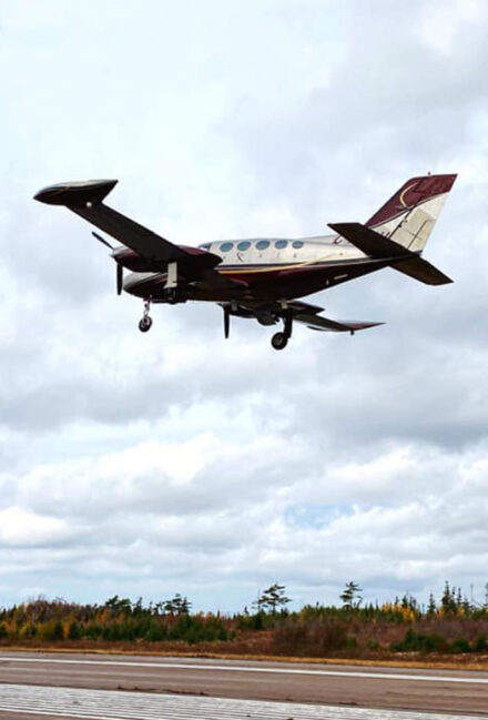 Catered-To-Your-Need