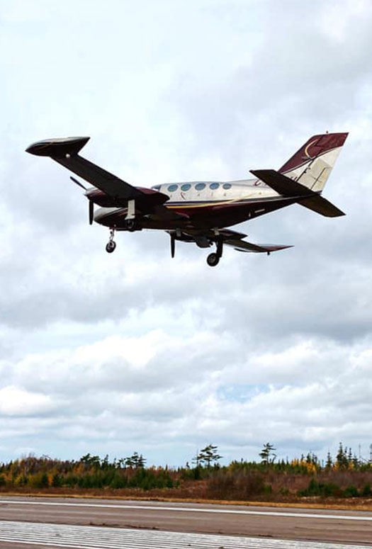 Catered To Your Need